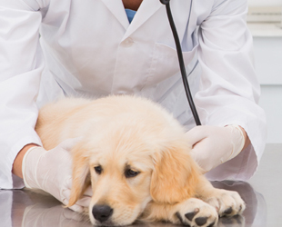 入院治療について