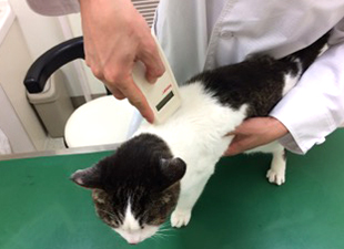 マイクロチップ