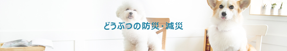 どうぶつの防災・減災