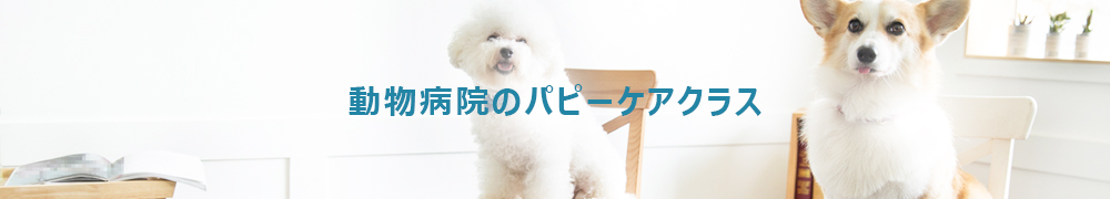 パピーケアクラス