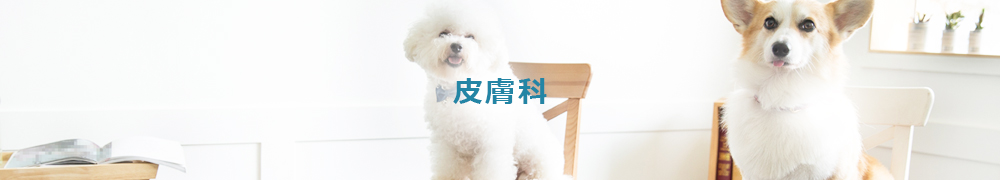 アトピー・アレルギー