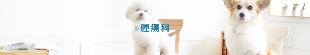 がん免疫療法、自己リンパ球活性化療法、樹状細胞療法