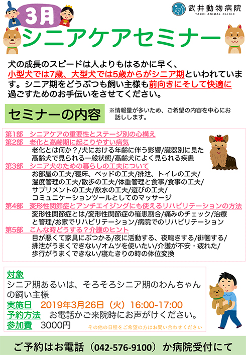 犬のシニアケア