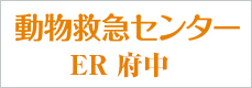 夜間救急動物医療センター